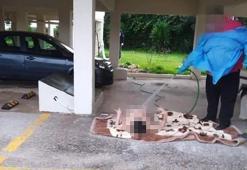 Yunanistan'da çekildi, gündemi altüst etti! 'Utanç görüntüleri'