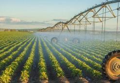 Bitkisel üretimde Cumhuriyet tarihi rekoru kırıldı