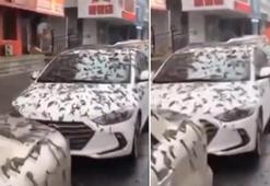 Gökten solucan yağdı, herkesin aklına aynı şey geldi: Kıyamet alameti