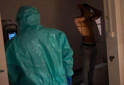 Yeni koronavirüs tehlikesi! On binlerce fare birden fazla virüs taşıyor