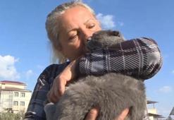 31 gün sonra mucize! Enkaz altından bir kedi sağ kurtarıldı