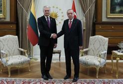 Cumhurbaşkanı Erdoğan, Litvanya Cumhurbaşkanı ile görüştü