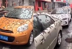 Çin'de gökyüzünden solucan yağdı! Şok eden görüntüler için açıklama geldi...