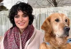 Ezgi Mola'dan alkışlanacak hareket! 'Sahiplerinden bana emanet'