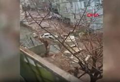 Şanlıurfa'daki sel suları cadde ve sokaklardaki araçları sürükledi!