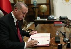 AK Partili Şen CNN Türk'te açıkladı! İşte Cumhurbaşkanı Erdoğan'ın masasındaki son seçim anketi