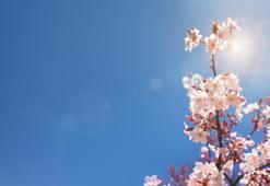 21 Mart ekinoksu nedir, ilkbahar ekinoksu 21 Mart özellikleri nelerdir? İlkbahar ekinoksunda ne yapılır? İlkbahar ekinoksu ritüelleri…