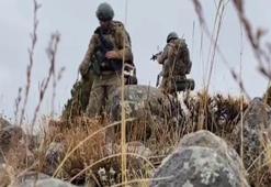 Komandolardan Kağızman'da bahar harekatı