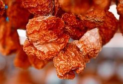 Selenyum bakımından çok zengin, bağışıklık sistemini çelik gibi yapıyor! Bunu yiyen doktor yüzü görmüyor