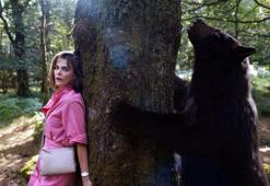 'Çıldırmış Ayı'nın gizemi yıllar sonra çözüldü! Filmlere konu olan olayın detayları şaşkınlık yarattı...