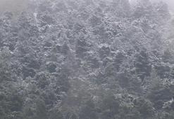 İstanbul'a kar yağdı! Meteoroloji uyardı: Lapa lapa yağacak