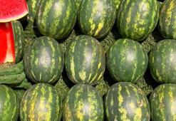 Karpuz tezgahlarda yerini aldı! İşte kilo fiyatları