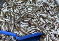 Mezgit ve somon  Ramazan ayının vazgeçilmezi oldu! 'Fiyatlar yine aynı'