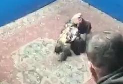 Hayvanları koruma derneğine horoz dövüşü baskını