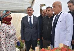 Bakan Vahit Kirişci: Örtü altı üretim alanı 811 bin dekara çıktı