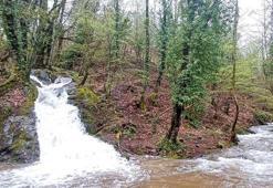 Kuraklık alarmı veren Kazdağları'ndan sevindiren görüntü