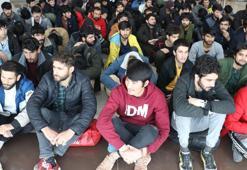 Afganistanlı 138 kaçak göçmen ülkelerine gönderildi
