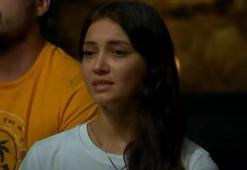 Survivor kim kovuldu? Survivor 2023'te kim diskalifiye oldu?