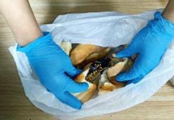 Dilencinin topladığı paralar ekmek arasından çıktı