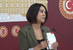 Gamze Taşçıer kimdir? CHP Ankara milletvekili adayı Gamze Taşçıer nereli, kaç yaşında, hangi bölgeden aday gösterildi?