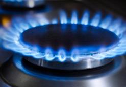 TPAO Genel Müdürü Bilgin: Doğal gaz, mayıs ayı başında tüm sisteme verilecek