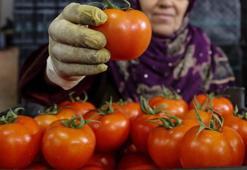 İhracatın kralı domates ve biber oldu! Hepsi geride kaldı