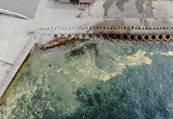 Müsilaj tehlikesi geri mi geliyor? Kadıköy'de endişelendiren görüntü