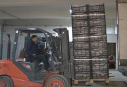 Kapadokya çileği ekonomiye 700 bin dolar katkı sağlıyor