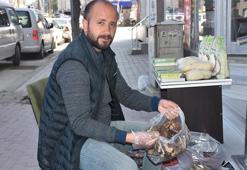Kilosu 250 lira, kurutulmuşu 3 bin lira! Ağaçların altından toplanıyor