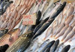 Av yasağıyla günlük balık çeşidi 15'e düştü, ancak fiyatlar artmadı