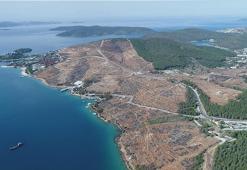 Bodrum'da yanan orman alanları, 21 ay sonra yeşerdi