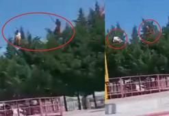 Lunaparkta faciadan dönüldü! Dev salıncak ağaç dallarına takıldı...