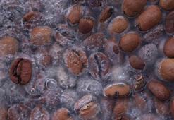 Uzun yaşamanın sırrı bu besinlerde! Ölüm riskini yüzde 30 düşürüyor