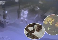 Midesine sakladığı uyuşturucu dolu kapsüller patlayan İsveçli öldü