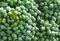 Kolesterolü çok hızlı düşürüyor, kanserin her türlüsüne şifa! İşte mucize besinin sağlığa 3 önemli faydası