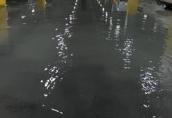 Bakırköy'de yeni sosyete pazarı otoparkını bu bastı!