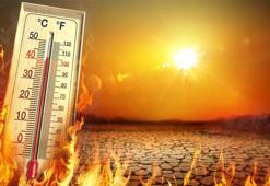 Afrika sıcakları ne zaman gelecek 2023? El Nino yolda; sıcaklık rekorları kırılabilir!