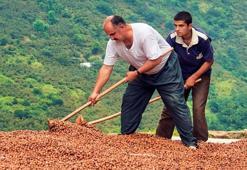 Fındık fiyatları ile ilgili açıklama! 2023 hedefini duyurdu