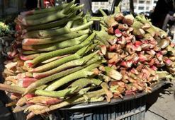 Tam bir şifa deposu: Doğunun muzu 'ışkın' tezgahlarda yerini aldı