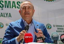 Çavuşoğlu: 2 oy için 'PKK'lılara, Öcalan'a, Demirtaş'a özgürlük' diyenlere, ders vermeye hazır mıyız