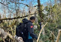 Mağara gezisi sonrası kayboldu, 11 gündür aranıyor