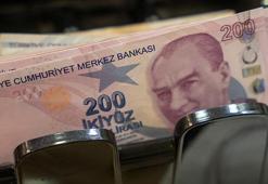 Geri ödemesiz destek verilecek! Başvurular e-Devlet'ten yapılıyor, tek tek açıklandı