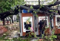 Avcılar'da ağaç ATM'lerin üzerine devrildi! Para çekmeye devam ettiler