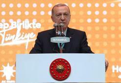 Cumhurbaşkanı Erdoğan: Batı ne isterse değil Türkiye ne isterse onu yaparız