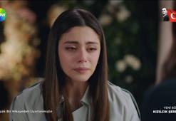 Nursema'yı zorla evlendirdi Doğa için bunu yapacak! Kızılcık Şerbeti dizisinde Abdullah'tan sürpriz hamle!