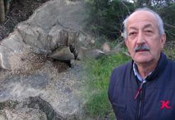 Görülmemiş olay! 150 yıllık çınar ortadan kayboldu