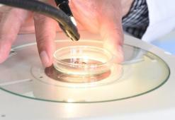 Ölümcül hastalık yeniden hortladı! Her mevsimde yaşıyor, en çok bu illerde görülüyor