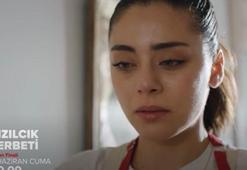 Kızılcık Şerbeti 29. bölüm fragmanı (Sezon finali): Doğa'dan intikam yemeği geliyor! Doğum sancısı başlıyor!