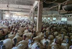Hobi olarak başladı, yurt dışından talep yağıyor