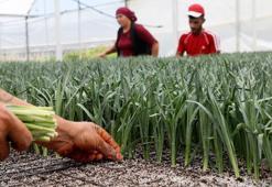 Antalya'da üretiliyor, dünyanın 33 ülkesi sıraya girdi! Hedef 165 milyon dolar döviz girdisi
